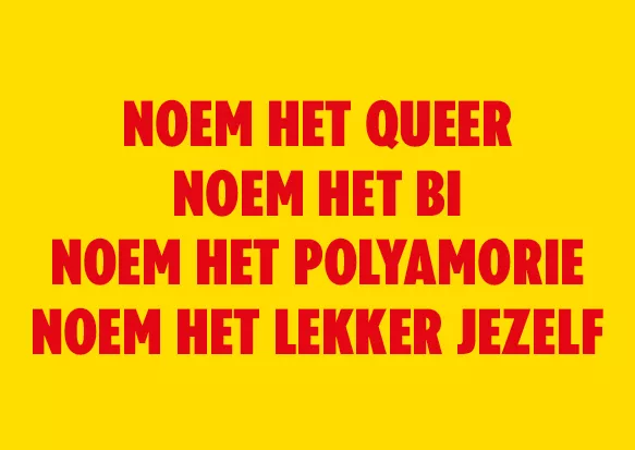 Kirsten van Teijn - (S)EXPERIMENT