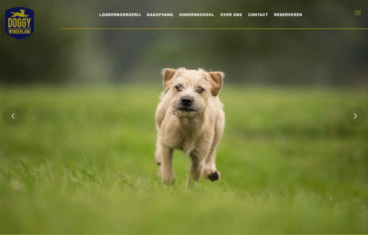 Doggywonderland Website