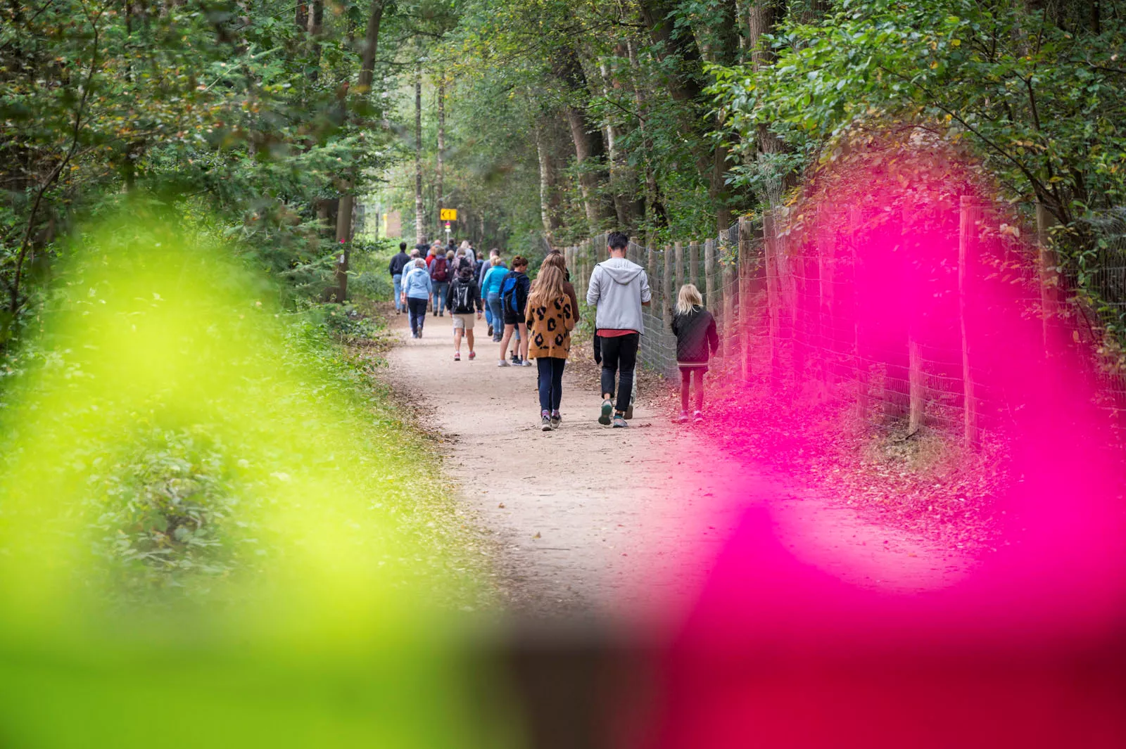 Maanlanders - Pegasus Wandelfestival