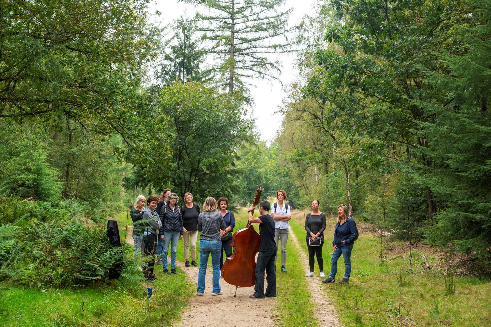 Maanlanders - Pegasus Wandelfestival