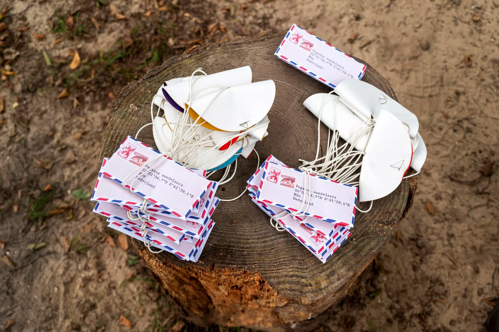 Maanlanders - Pegasus Wandelfestival